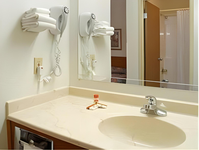 Bathroom 4, Blaine Town Inn & Suites, Anoka