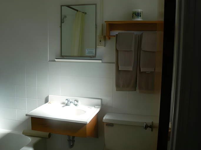 Bathroom 3, Wildwood Motel, Shelburne