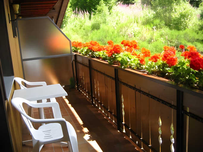 Others 5, Hotel Silberfelsen, Waldshut