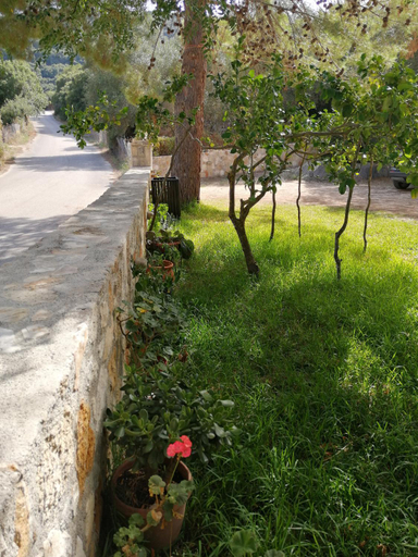Others 4, Reginas Studios, Ionian Islands