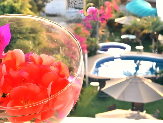 Food & Drinks 5, Vf Hotel, Huitzilac