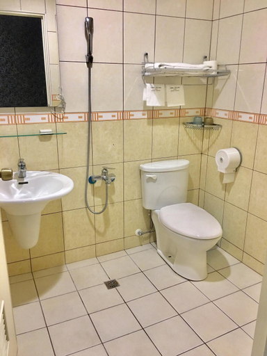 Bathroom 3, Rural Area Hotel, Chiayi County