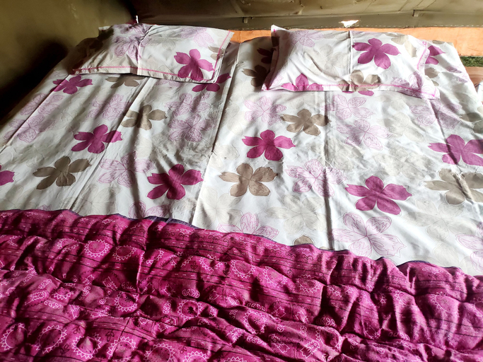 Others 4, Trivani Camp, Allahabad