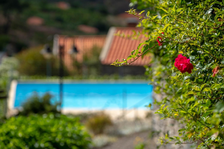 Sport & Beauty 5, Quita Das Vinhas, Calheta