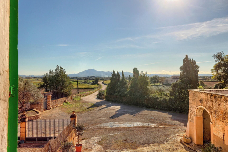 Others 5, Finca Son Valls, Baleares