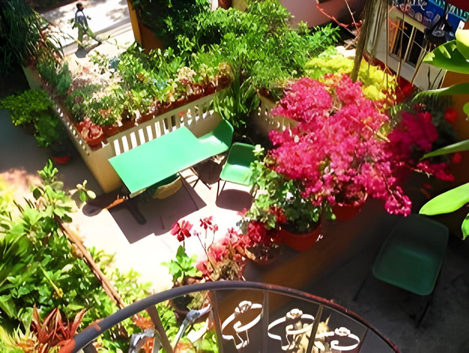 Others 4, Souvenir Guest House, Bagmati