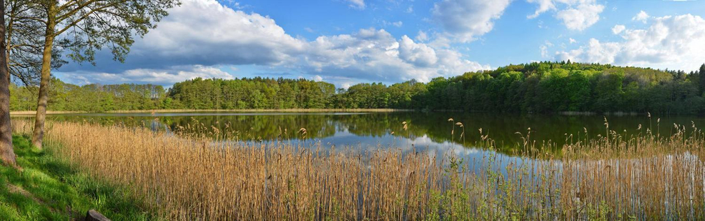 Others 2, Seehaus Hartwigsdorf, Mecklenburgische Seenplatte