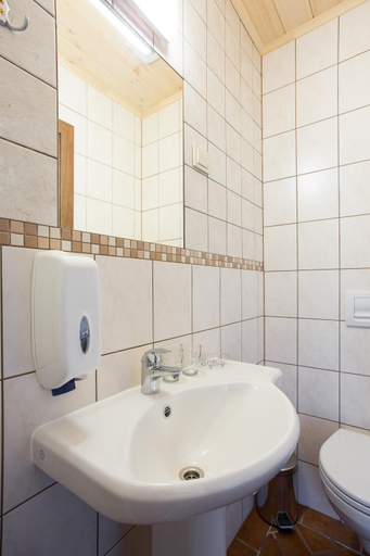 Bathroom 2, Sodyba Igne, Varėnos