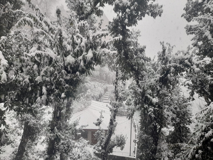 Others, Love Kush Cottage, Shimla