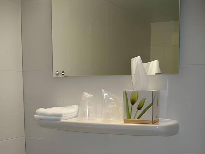 Bathroom 3, Auberge Du Prv Voux, Le Locle