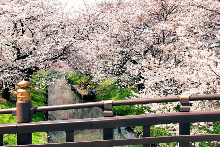Scenery