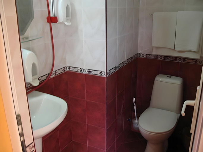 Bathroom 3, Family Hotel Savov, Chepelare