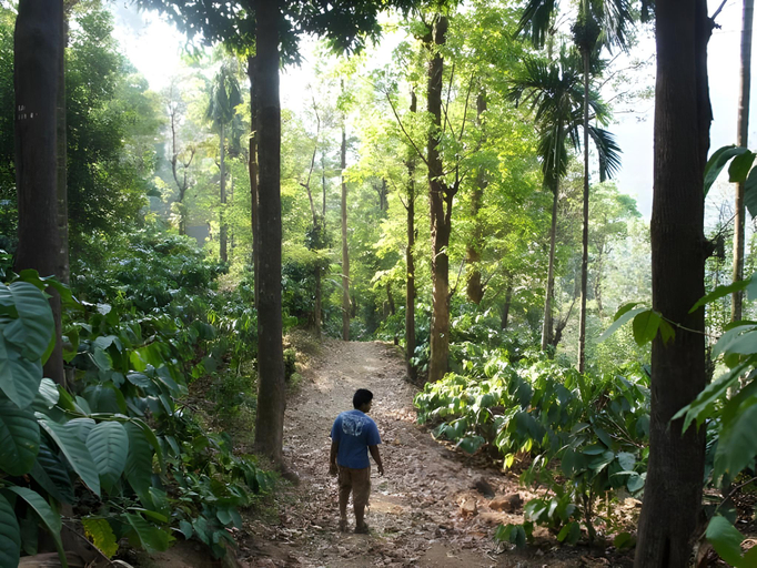 Others 2, Raj Estate Stay, Kodagu