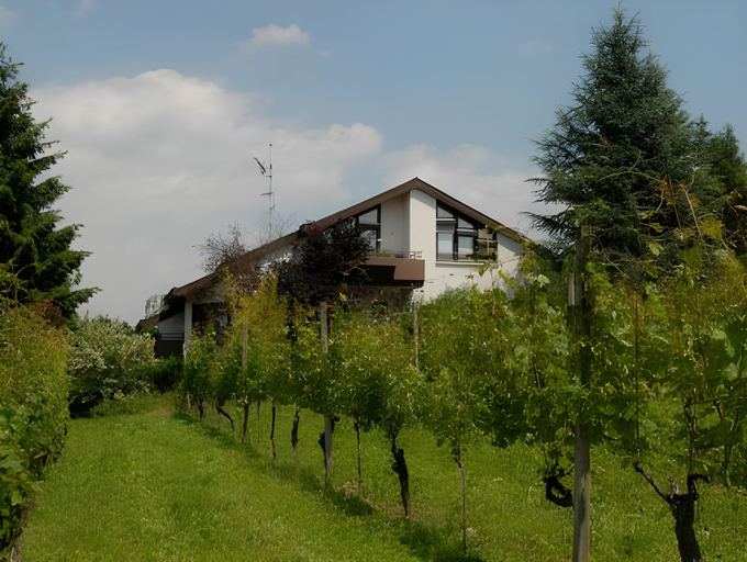 Others 3, Boutique-Hotel im Weingarten, Breisgau-Hochschwarzwald