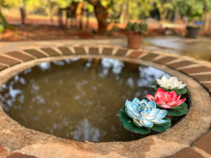 Sport & Beauty, Lotus Garden Guest House, Viluppuram