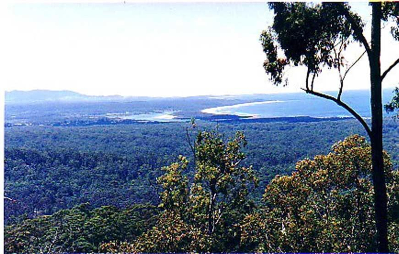 Scenery 1