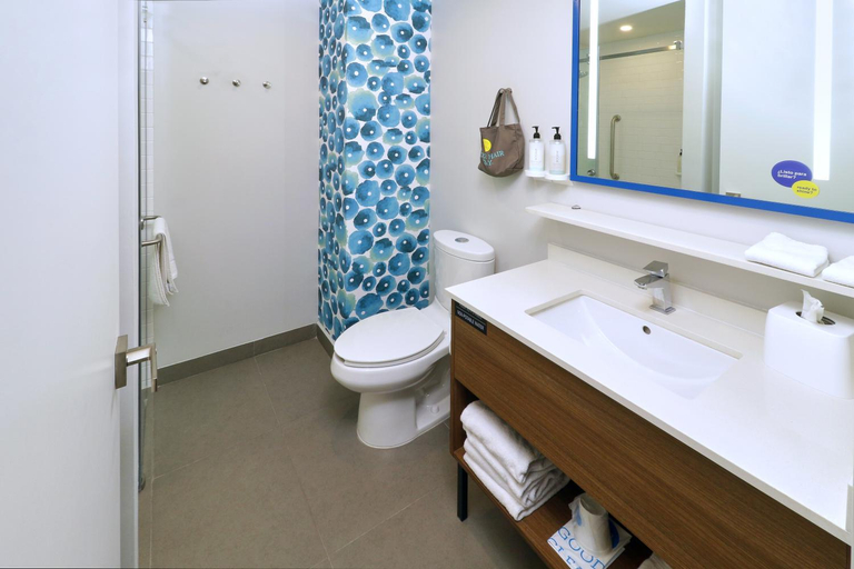 Bathroom 4, Tru By Hilton Monterrey Fundidora, Monterrey