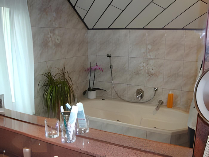 Bathroom 4, Hotel-Restaurant Lowen, Göppingen