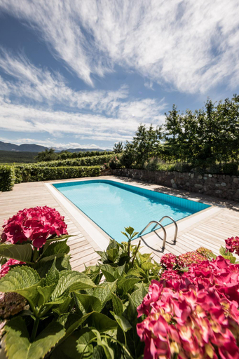 Sport & Beauty 5, Weingut Weidlhof - Suite & Breakfast - Vacation for wine lovers, Bolzano