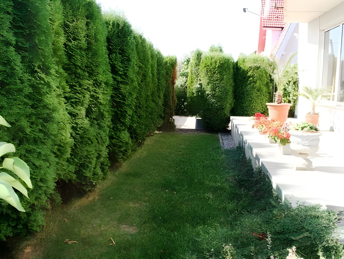 Others 5, Casa Petri, Sanpetru