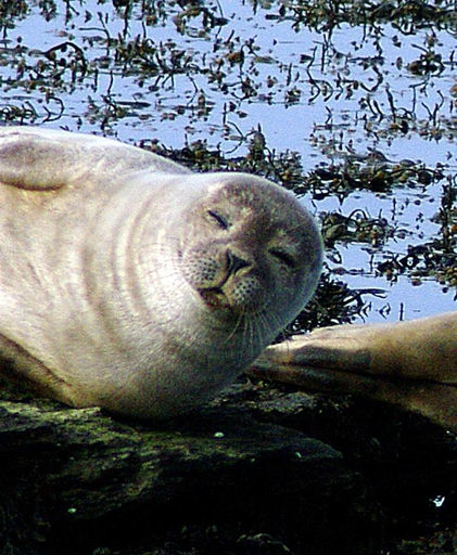 Others 3, No 1 Broughton Bed & Breakfast, Orkney Islands
