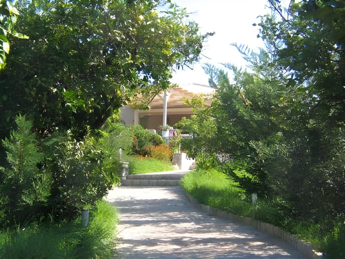 Others 5, Thanos Village, Peloponnese