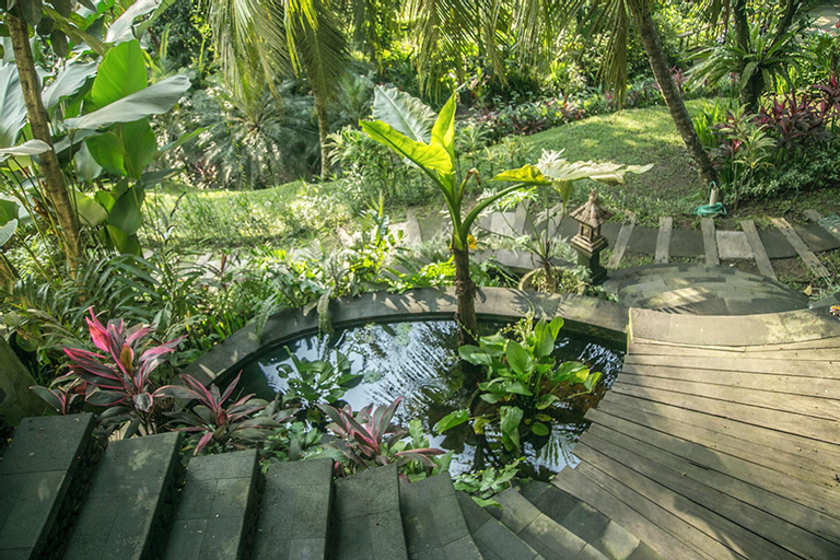 Scenery 6