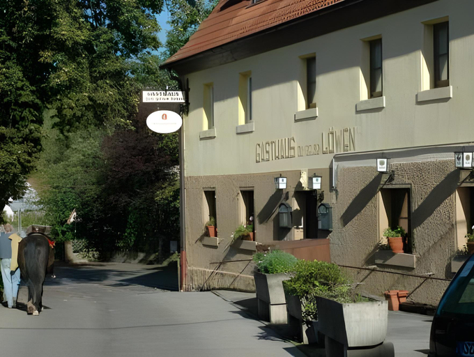Others 4, Gelber Lowe B&B Nichtraucherhotel, Schwabach