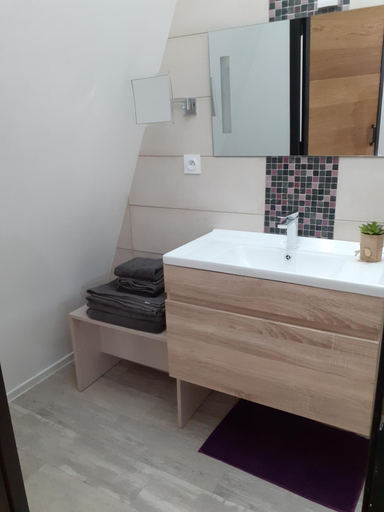 Bathroom 5, " Les Lofts de Merigonde ", Tarn