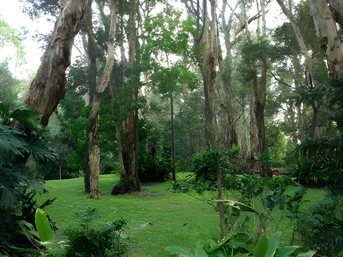 Others 3, The Oasis at One Mile Beach, Port Stephens