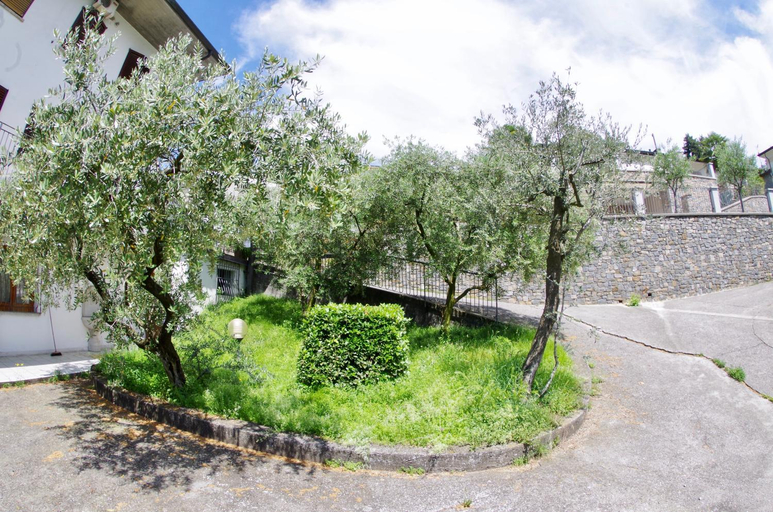 Emilia's House , Bergamo