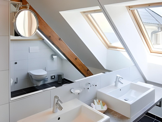 Bathroom 2, Daviduv mlyn, Opava