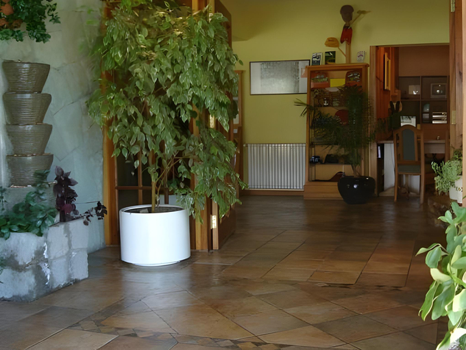 Public Area, Hosteria Cumbres Blancas, Futaleufú