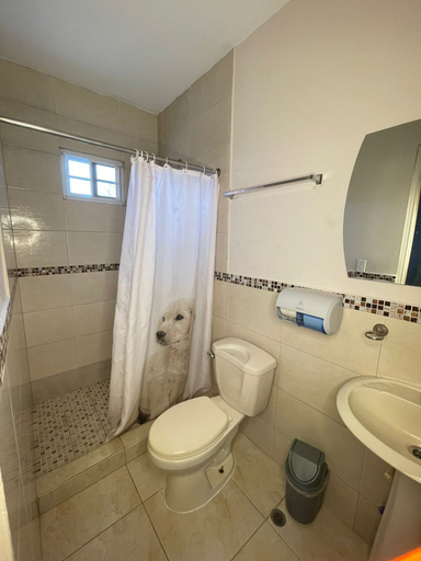 Bathroom, Hospedaje Brisas De Coclé, Penonomé