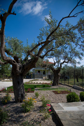 Others 3, Olivegrove House, Central Macedonia
