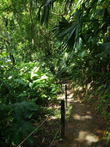 Others 5, Finca la Bonita, Playa Carate, Golfito