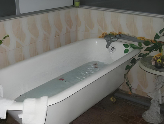 Bathroom 5, Hostal & Spa Casa Real, Riobamba