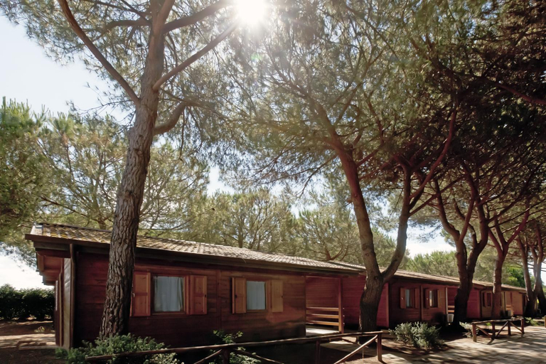 Camping Village Oasi, Grosseto