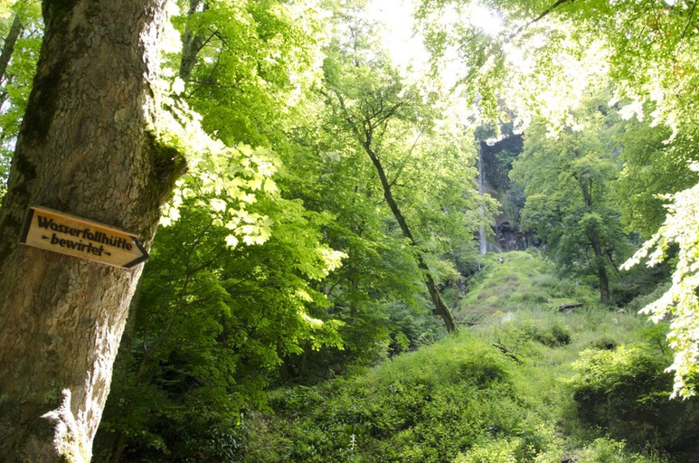 Others 5, Hof am Horn - Fewos in der Natur, Alb-Donau-Kreis