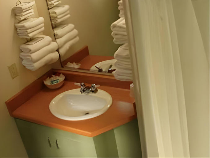 Bathroom 4, Residence & Conference Centre - Welland, Niagara
