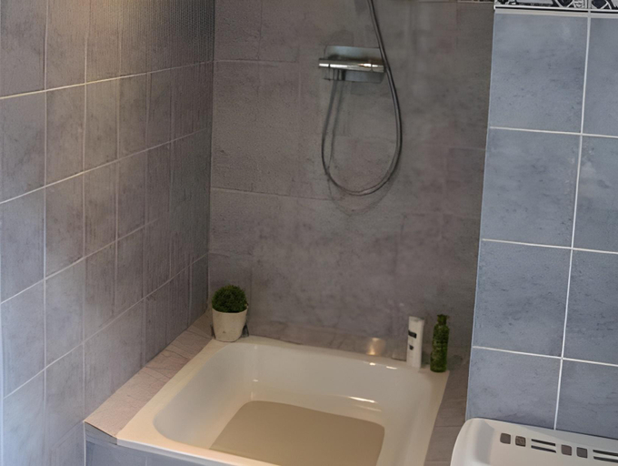 Bathroom 2, Herberg de Zwaan Hedel, Maasdriel
