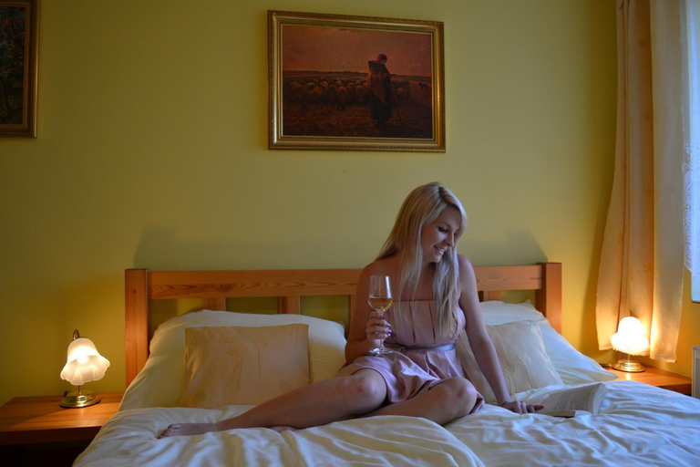 Others 5, U Zlate Brany Cesky raj Wellness, Jičín
