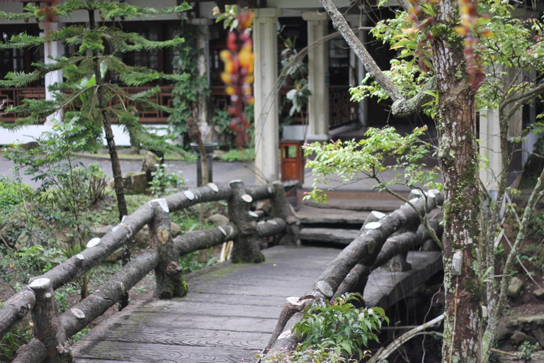Scenery 11
