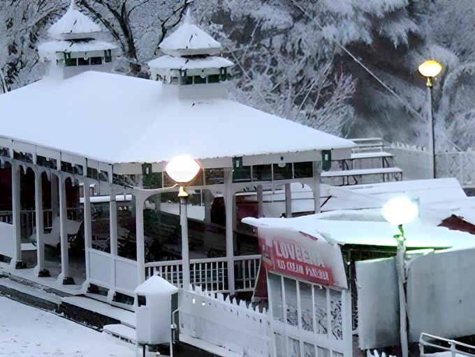 Others 4, Hotel Vaikunth, Shimla