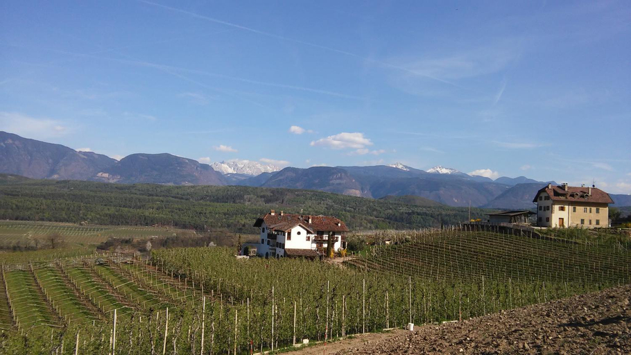 Others 4, Weingut Weidlhof - Suite & Breakfast - Vacation for wine lovers, Bolzano