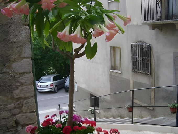 Exterior & Views 2, Myosotis, L'Aquila