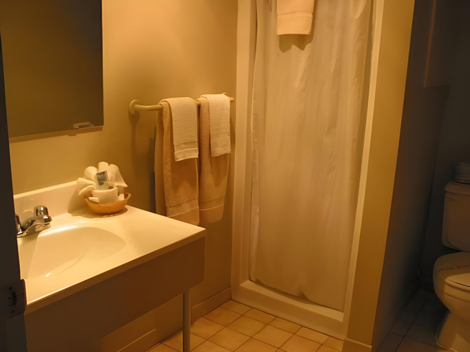Bathroom 2, Motel Le Radisson de Val-David, Les Laurentides