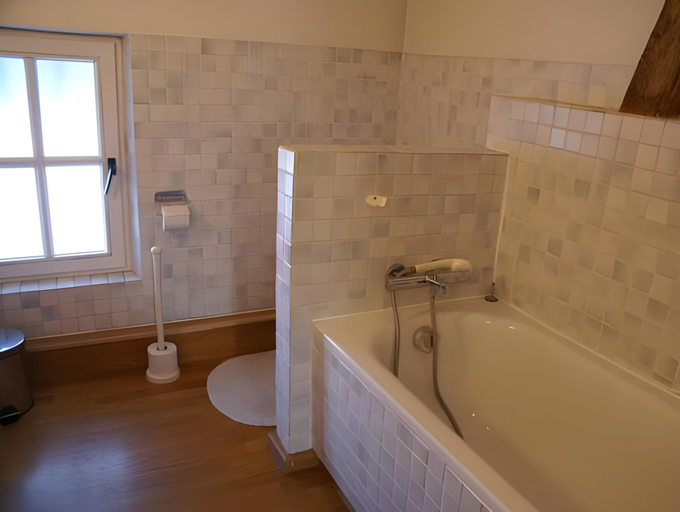 Bathroom 5, B&B De Metstermolen, Limburg