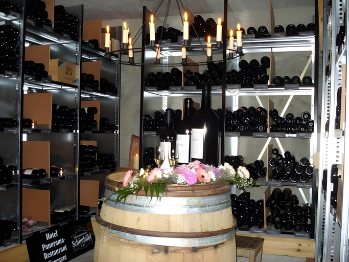 Food & Drinks 5, Schonbuhl Hotel & Restaurant Lake Thun, Thun