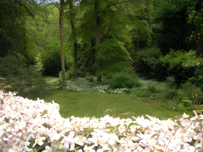Others 4, Woodland Views, Dorset